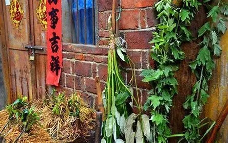 1703642995442258.jpg u=1732545072,497611438&fm=253&fmt=auto&app=138&f=JPEG.webp.jpg