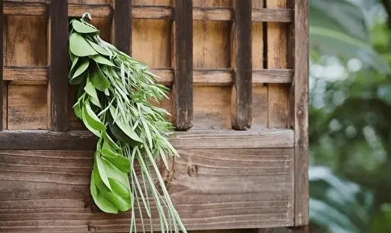 1704161676163271.jpg u=2651328266,2831800184&fm=253&fmt=auto&app=120&f=JPEG.webp.jpg